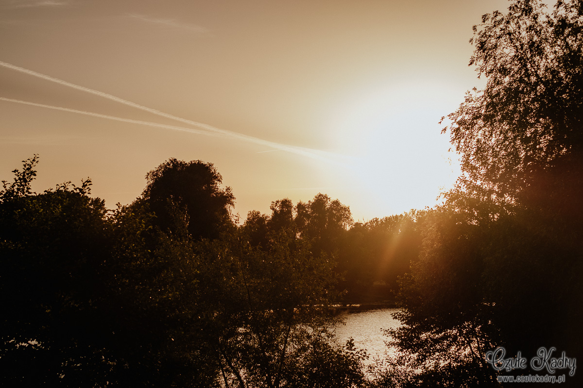 fotografia slubna jozefow