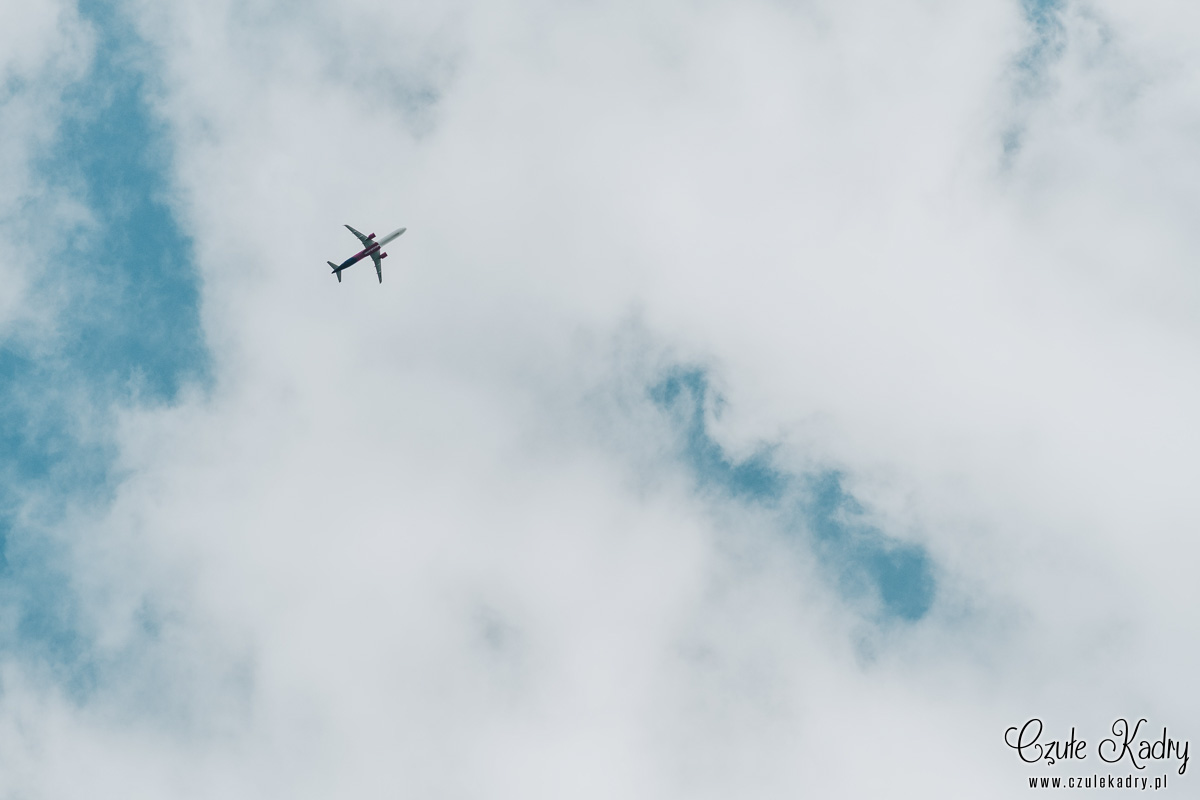 stara oranżeria mroków