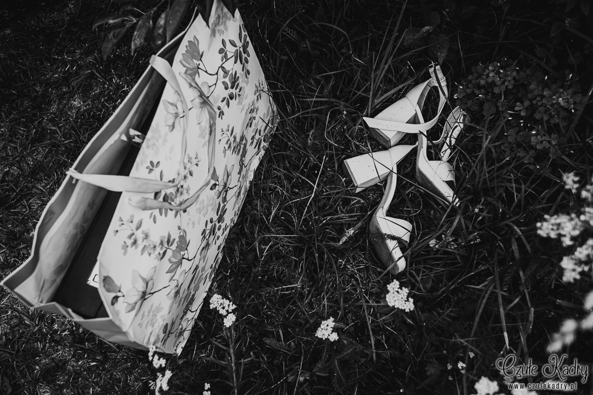 stara oranzeria mrokow