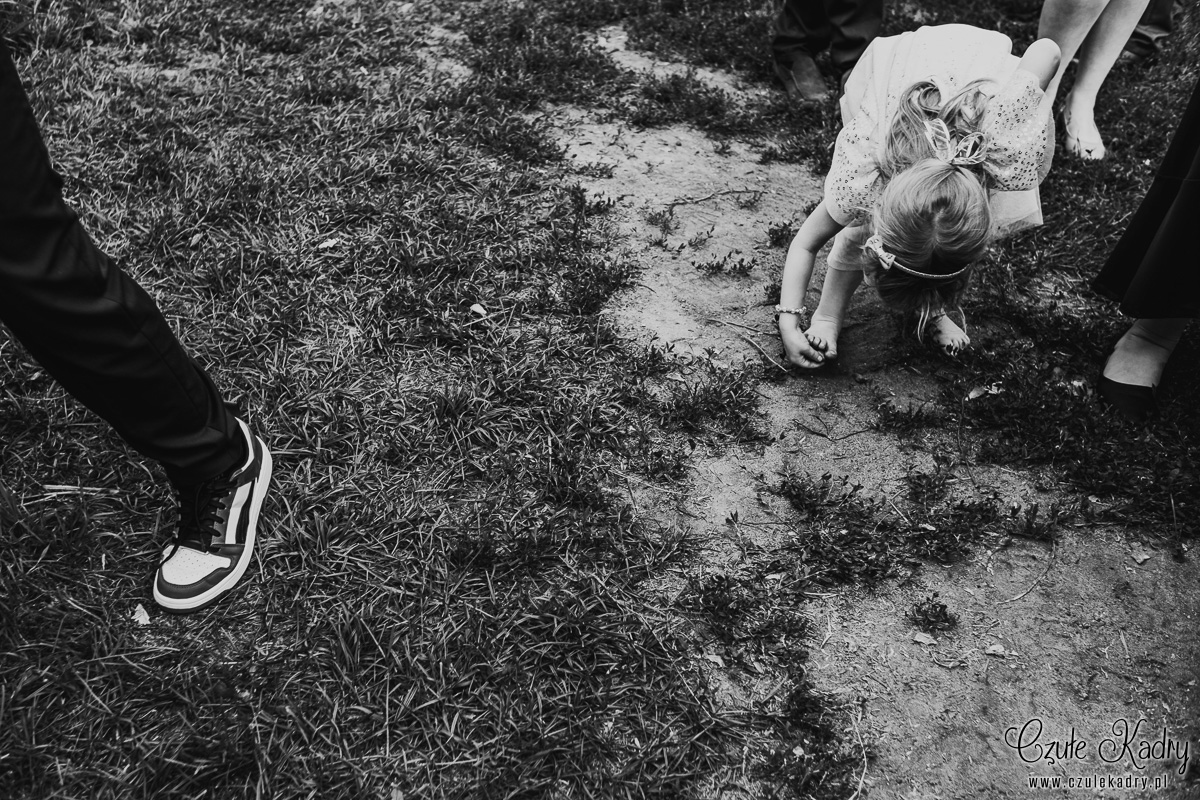 stara oranzeria mrokow