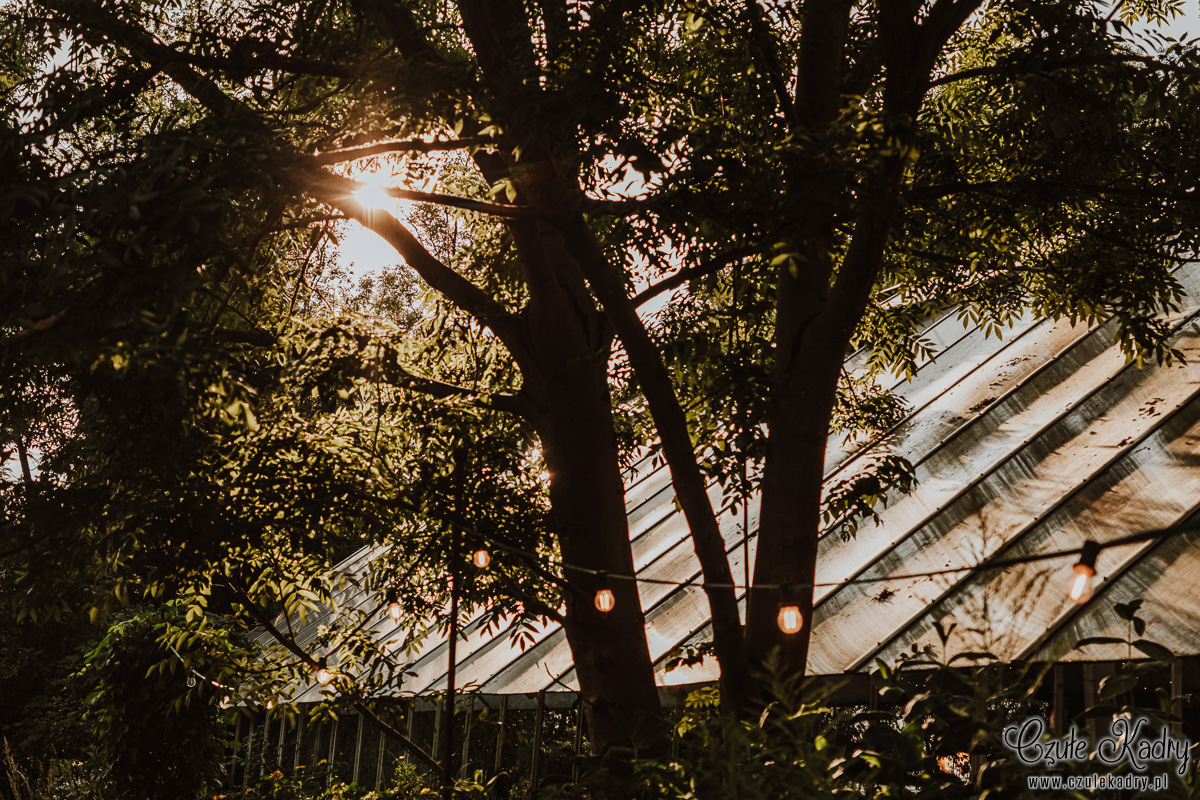 stara oranzeria mrokow