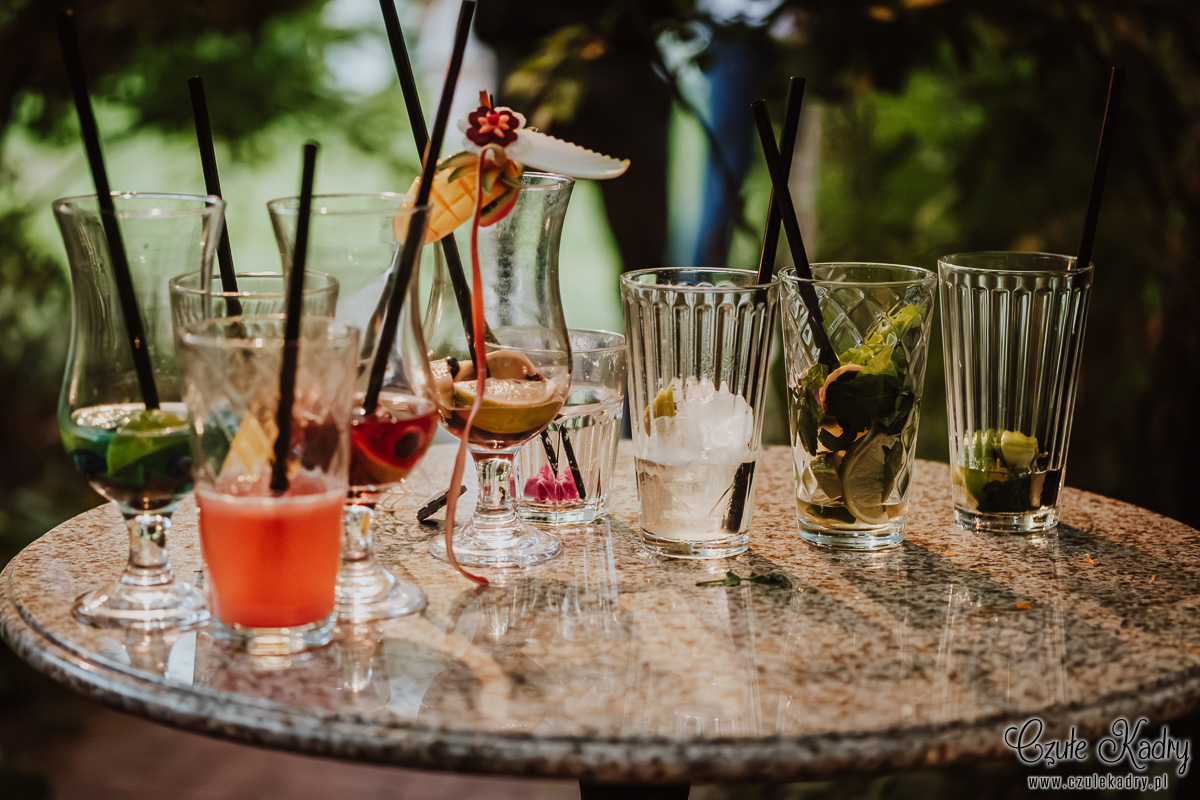 stara oranzeria mrokow