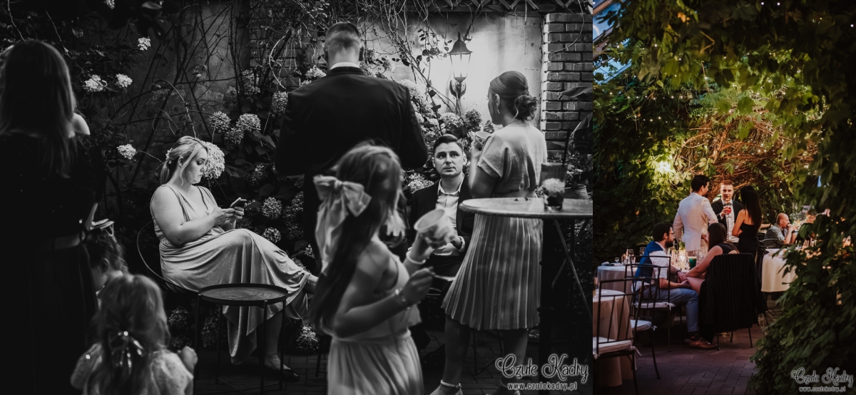 stara oranzeria mrokow