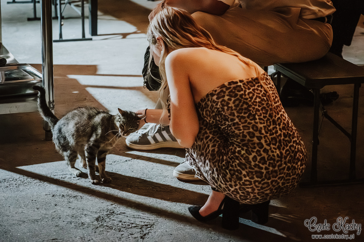 las papiernia wesele