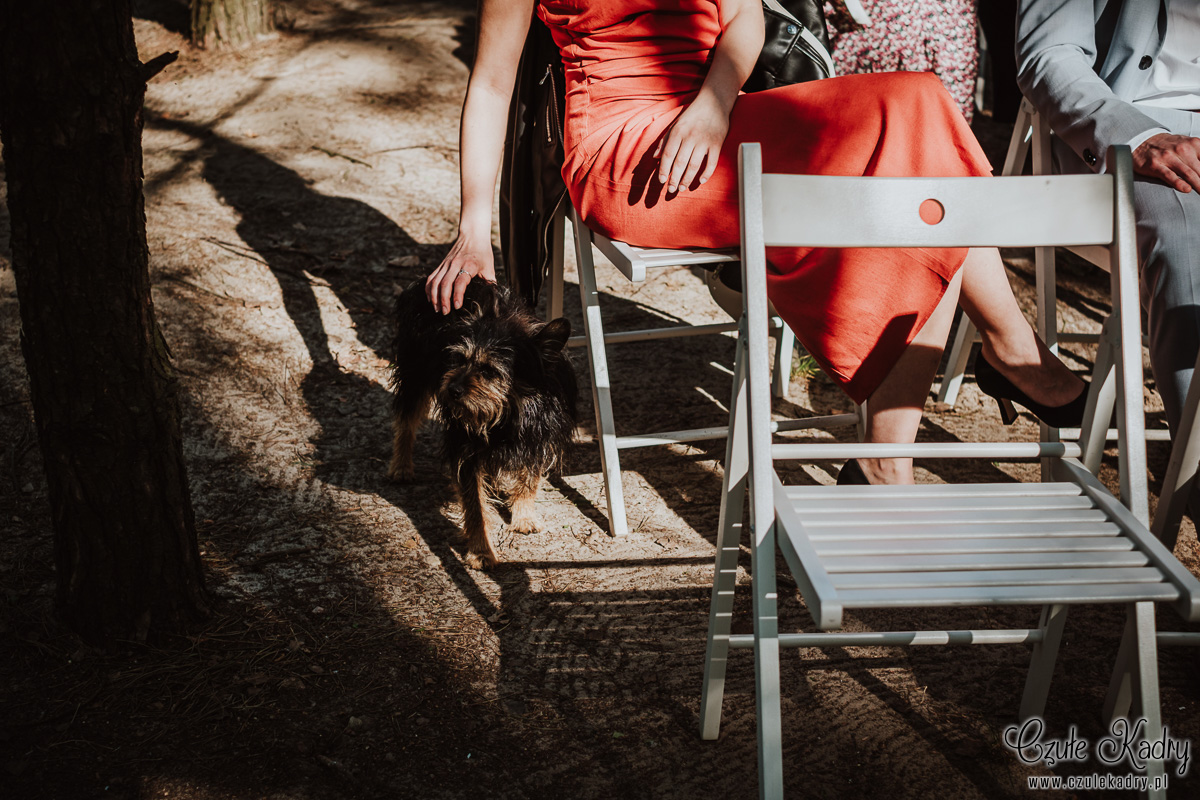 slow wedding stodola kultury