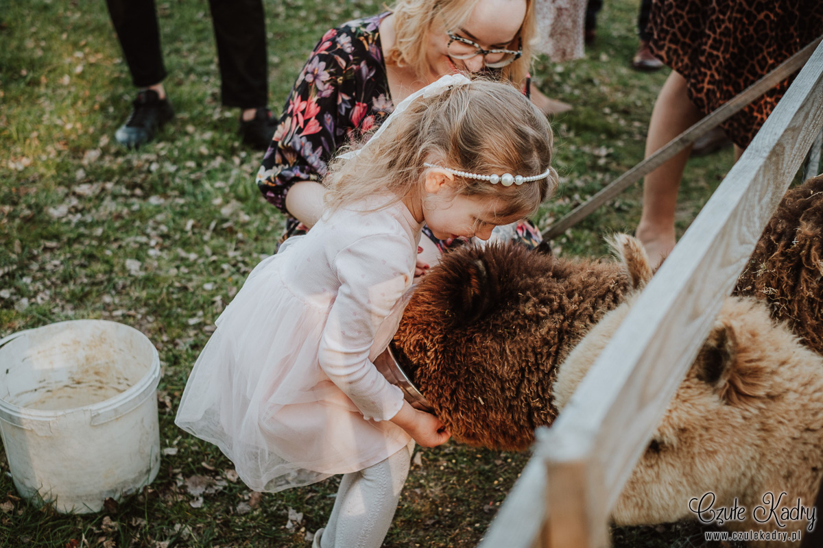 slow wedding stodola kultury