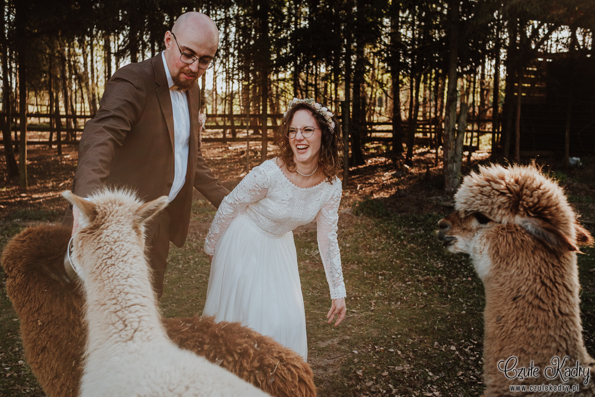 slow wedding stodola kultury